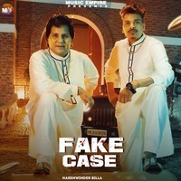 Fake Case