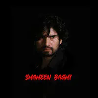 Shaheen Baghi