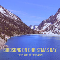 Birdsong on Christmas Day