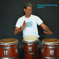 Percussion Play Along guajira