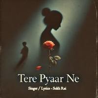 Tere Pyaar Ne