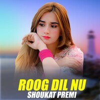 Roog Dil Nu