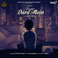 Tere Dard Mein (Lofi Mix)