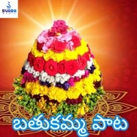 Bathukamma Pata