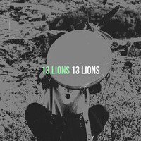 13 Lions