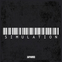 Simulation