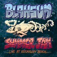 Summer Jam: Live at Rockaway Beach