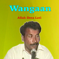 Wangaan