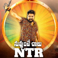 Nuvvunte Chaalu Naku NTR