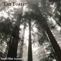 The Forest