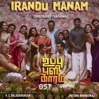 Irandu Manam (Original Soundtrack from "Uppu Puli Kaaram")