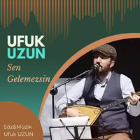 Sen Gelemezsin