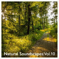 Natural Soundscapes, Vol. 10