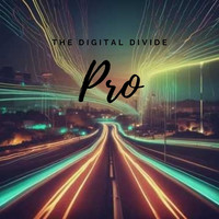 The Digital Divide