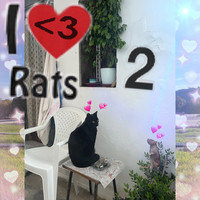 I <3 Rats 2