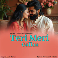 Teri Meri Gallan