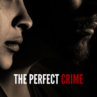 The Perfect Crime