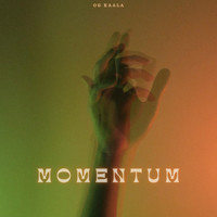 Momentum