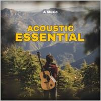 ACOUSTIC ESSENTIAL