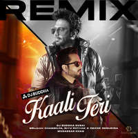 Kaali Teri (Remix)