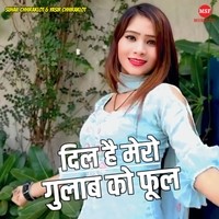 Dil Hai Mero Gulab Ko Fool