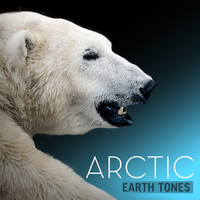 Earth Tones: Arctic
