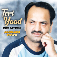 Teri Yaad (Pop Mixes)