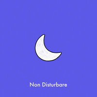 Non Disturbare