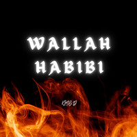 Wallah Habibi