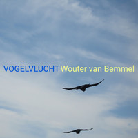 Vogelvlucht