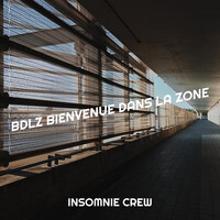 BDLZ bienvenue dans la zone