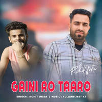 Gaini Ro Taaro