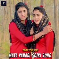 Maya Pahari Gojri Song