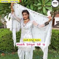 Aasik Singer SR 15