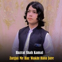 Zargai Me Har Wakht Rata Jare