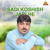 Sadi Koshish Jari He