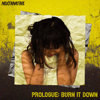 Prologue: Burn It Down