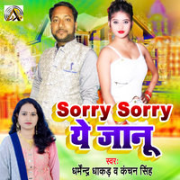 Sorry Sorry Ye Jaanu