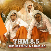 THM The Haryanvi Mashup 8.5