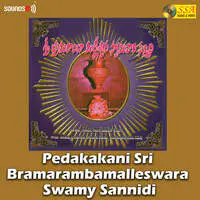 Pedakakani Sri Bramarambamalleswara Swamy Sannidi