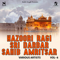 Hazoori Ragi Sri Darbar Sahib Amritsar Vol. 6
