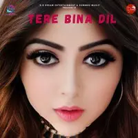 Tere Bina Dil
