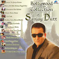Bollywood Collection of Sanjay Dutt