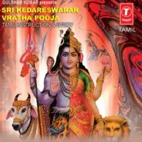 Sri Kedareswarar Vratha Pooja (Instruction Story)