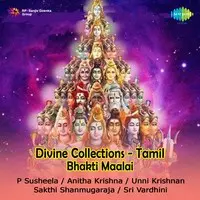 Divine Collections Saravana Bhavane