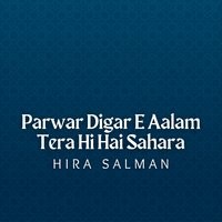 Parwar Digar E Aalam Tera Hi Hai Sahara