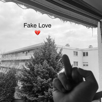 Fake Love