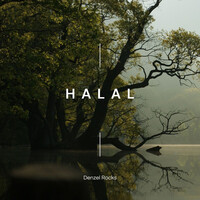 Halal Song Download: Play & Listen Halal all MP3 Song by Denzel Rocks ...