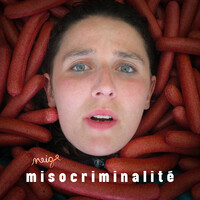 Misocriminalité