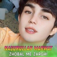 Zhobal Me Zarghi